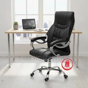The Aura Ergo-Director Chair