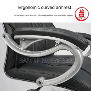 The Aura Ergo-Director Chair