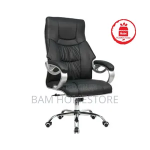The Aura Ergo-Director Chair
