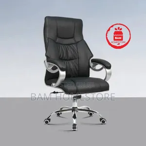 The Aura Ergo-Director Chair