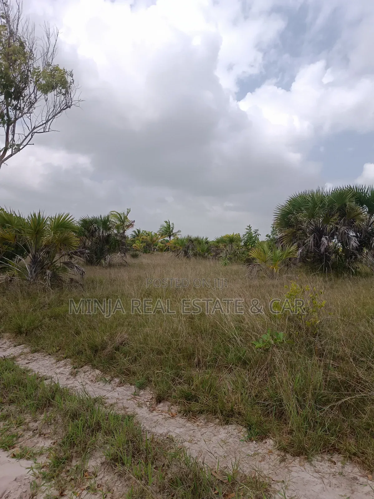 Cheap 37 Acres of the Industrial Plot for Sale Kisarawe Ii