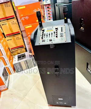 Lige-220 Big Power Rechargeble Speaker 15 Inches