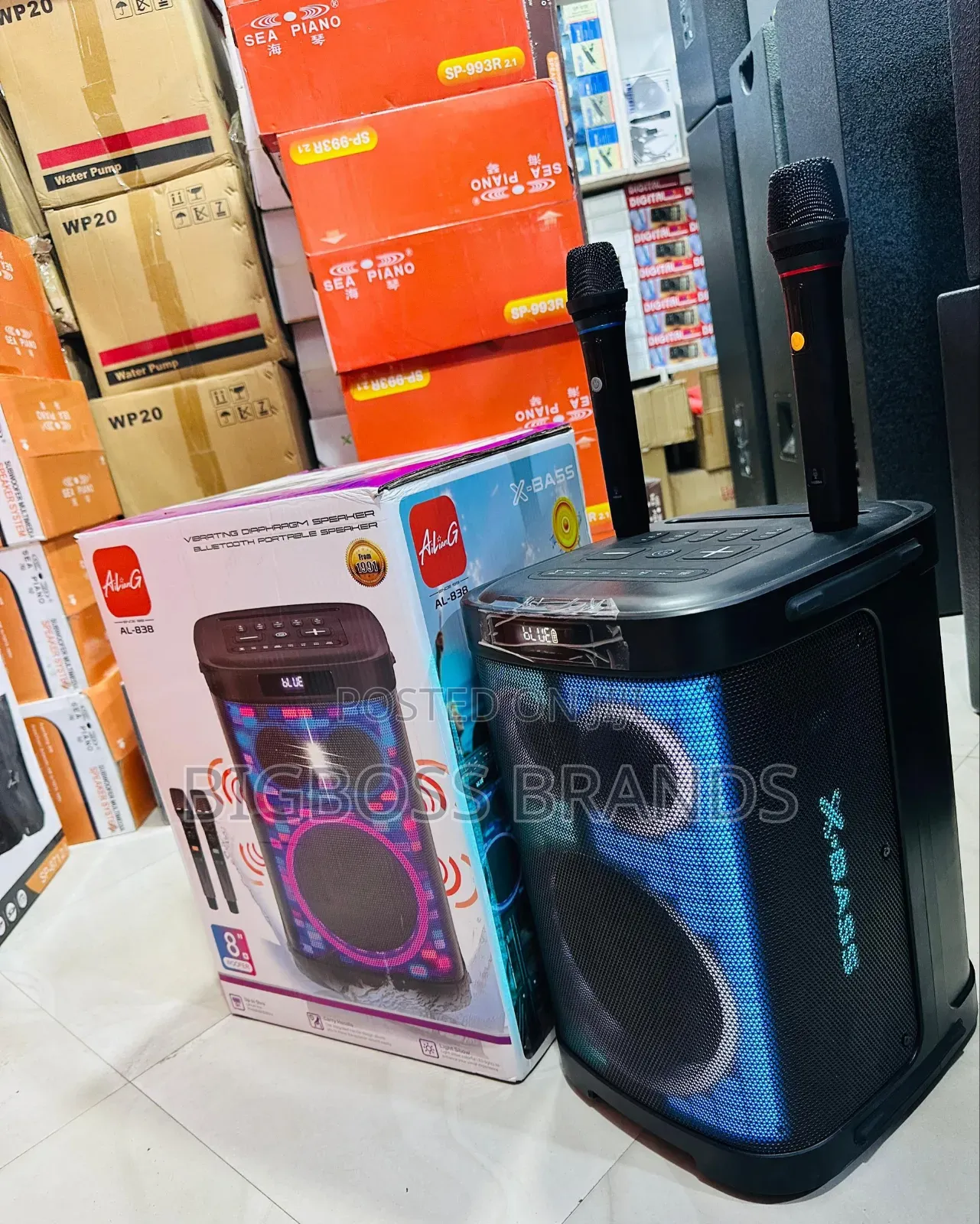 Ailian-838 Rechargeble Speakers