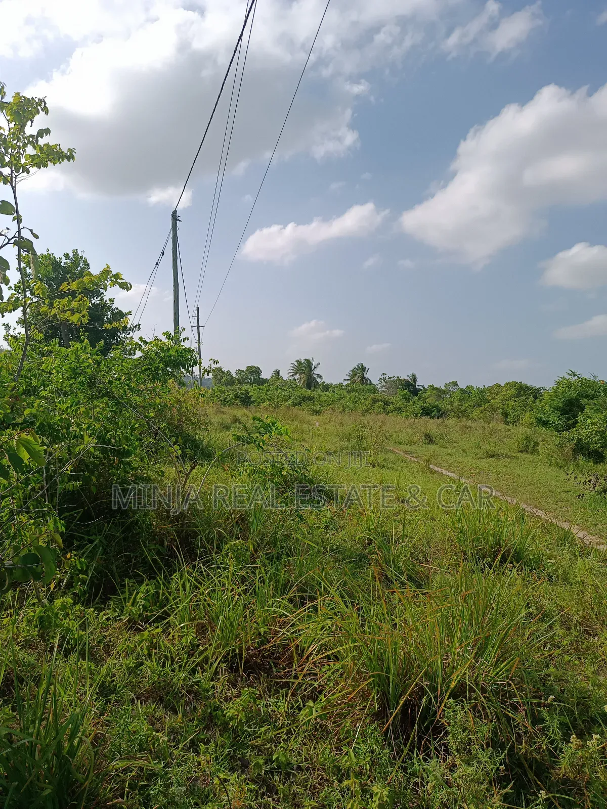 Shamba for Sale Mkuranga Just 4 Km From Mkuranga Town