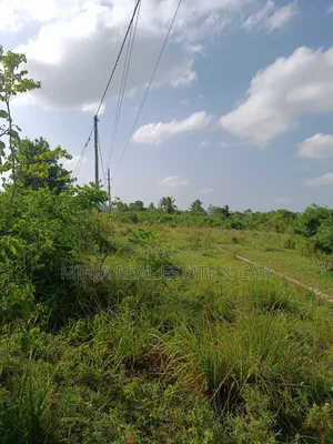 Shamba for Sale Mkuranga Just 4 Km From Mkuranga Town