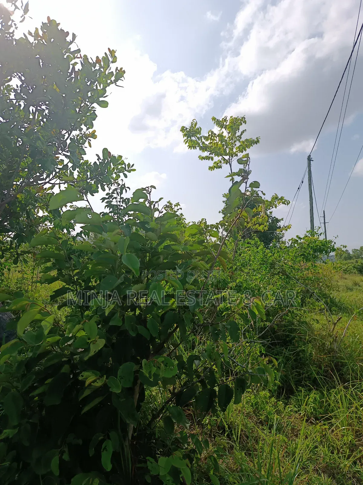 Shamba for Sale Mkuranga Just 4 Km From Mkuranga Town