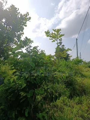 Shamba for Sale Mkuranga Just 4 Km From Mkuranga Town