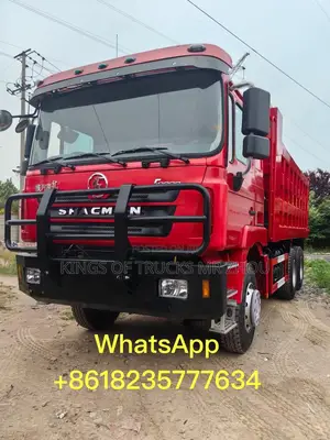Ready for Order Orange Shacman 6x4 Dump Truck
