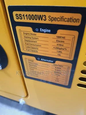 Ss11000w3 Easy Power 5.5kw Generator