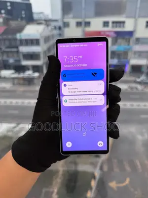 Sony Xperia 10 V 128 GB