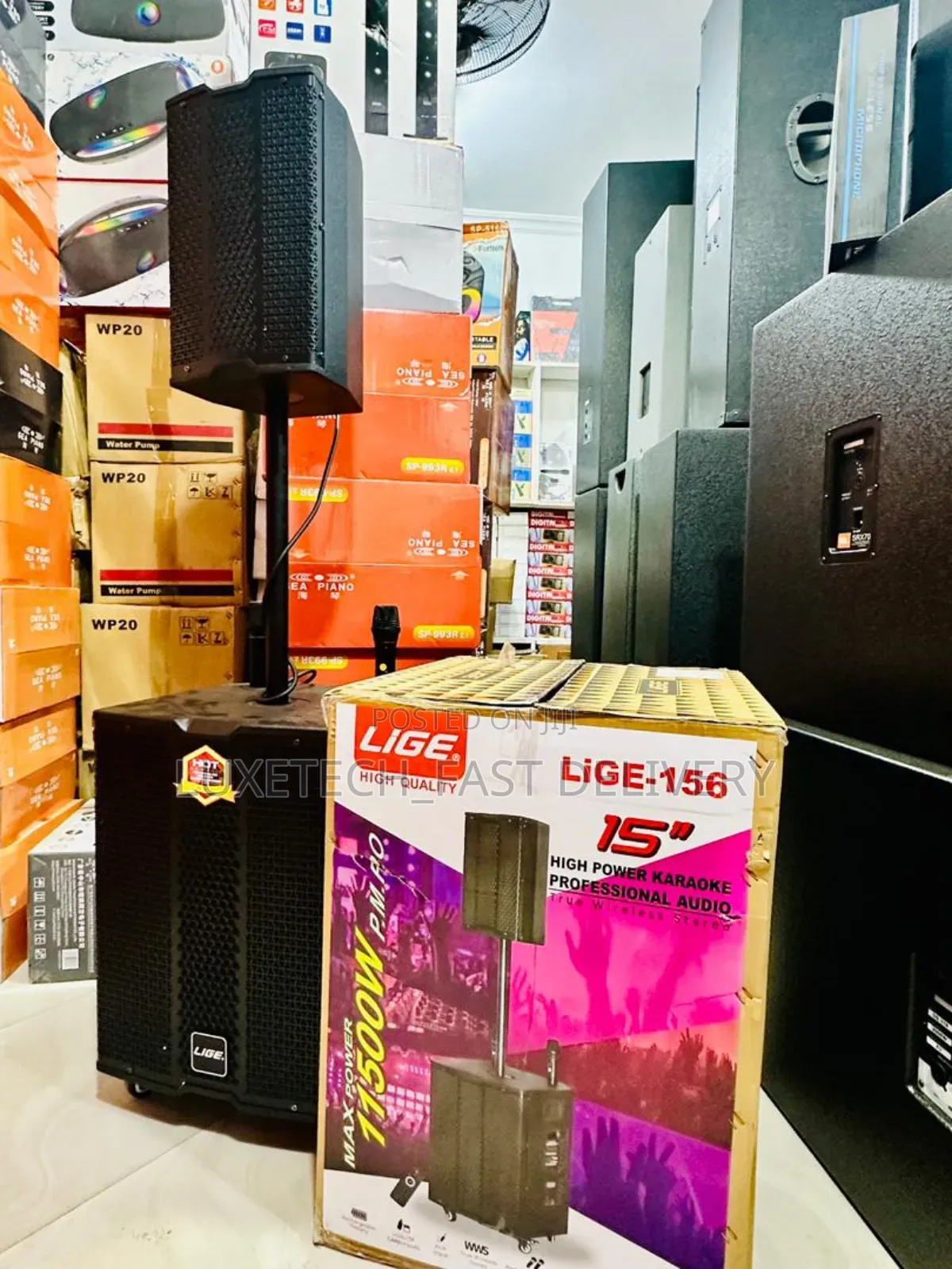 Lige-156 15" High-Power Karaoke Professional Speaker With 2 Microphone