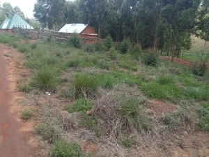 New Earth (Plot To Sale In Njombe Town) Kiwanja Kipo Njombe Mjini