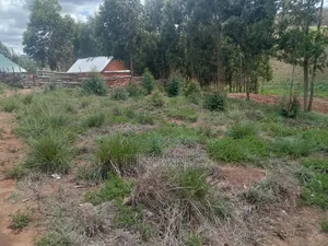 New Earth (Plot To Sale In Njombe Town) Kiwanja Kipo Njombe Mjini