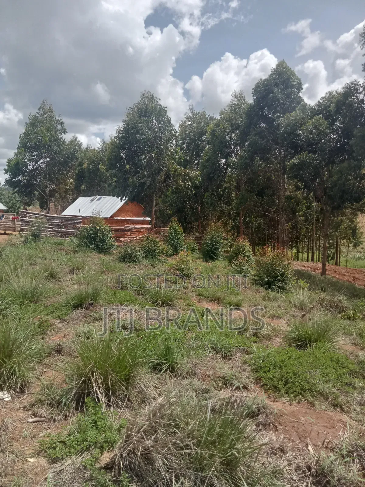 New Earth (Plot To Sale In Njombe Town) Kiwanja Kipo Njombe Mjini