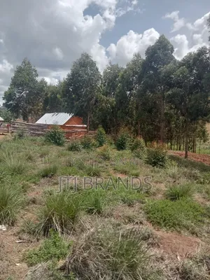 New Earth (Plot To Sale In Njombe Town) Kiwanja Kipo Njombe Mjini