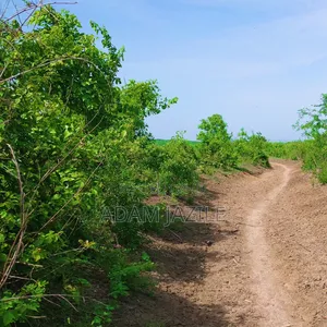 Shamba La Ekari 20 Linauzwa Bagamoyo