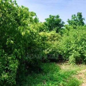 Shamba La Ekari 20 Linauzwa Bagamoyo