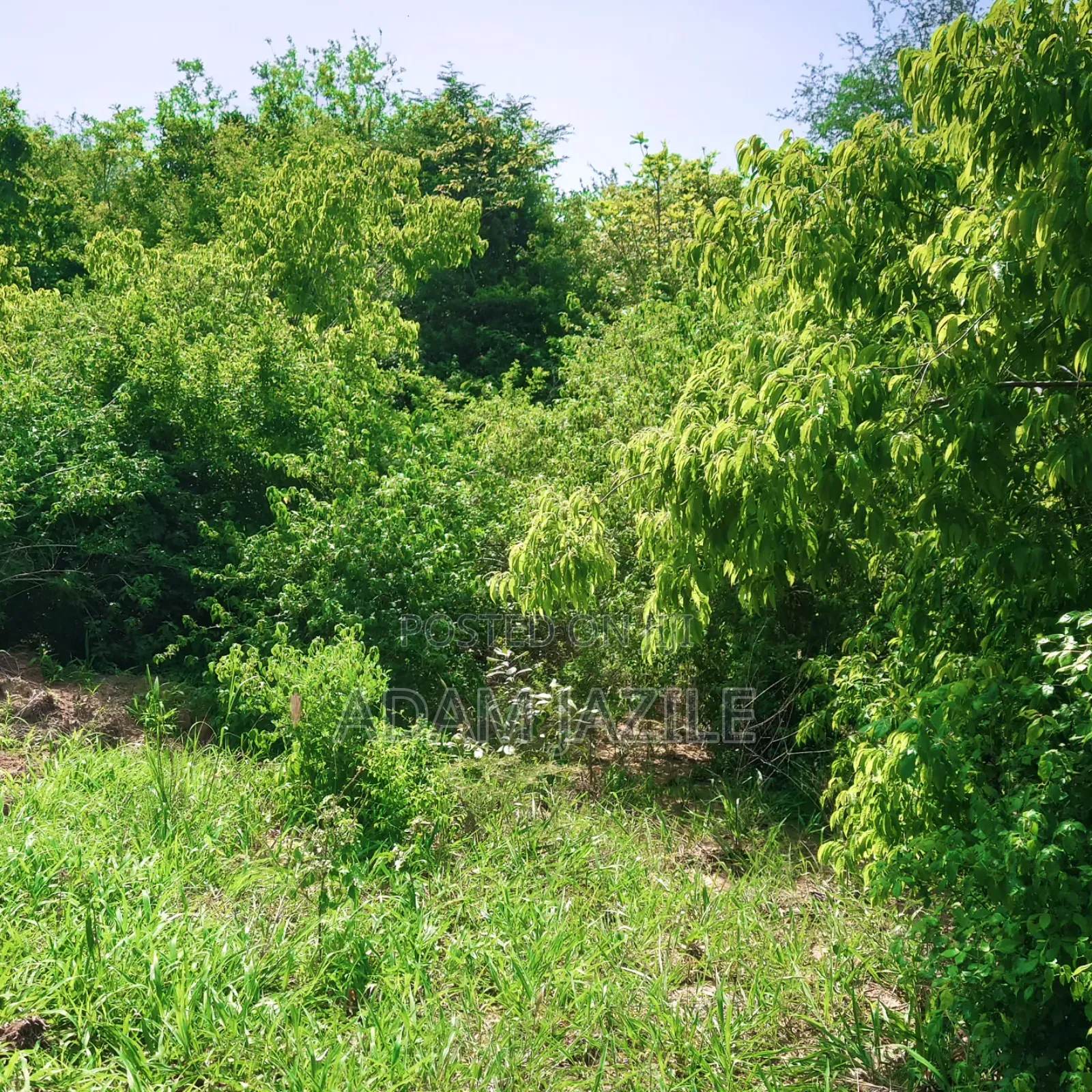 Shamba La Ekari 20 Linauzwa Bagamoyo