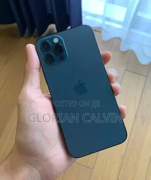 New Apple iPhone 12 Pro Max 256 GB Blue