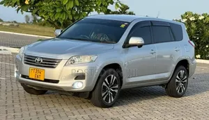 Toyota Vanguard 2009 Silver