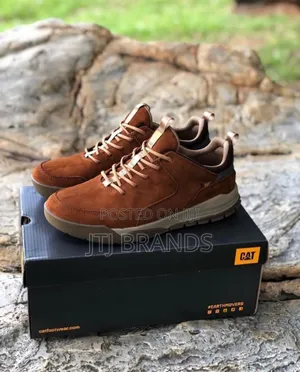 Caterpillar Shoes Za Mwaka Mpya
