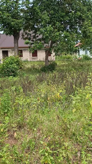 Plot for Sale Mwanza Busweru