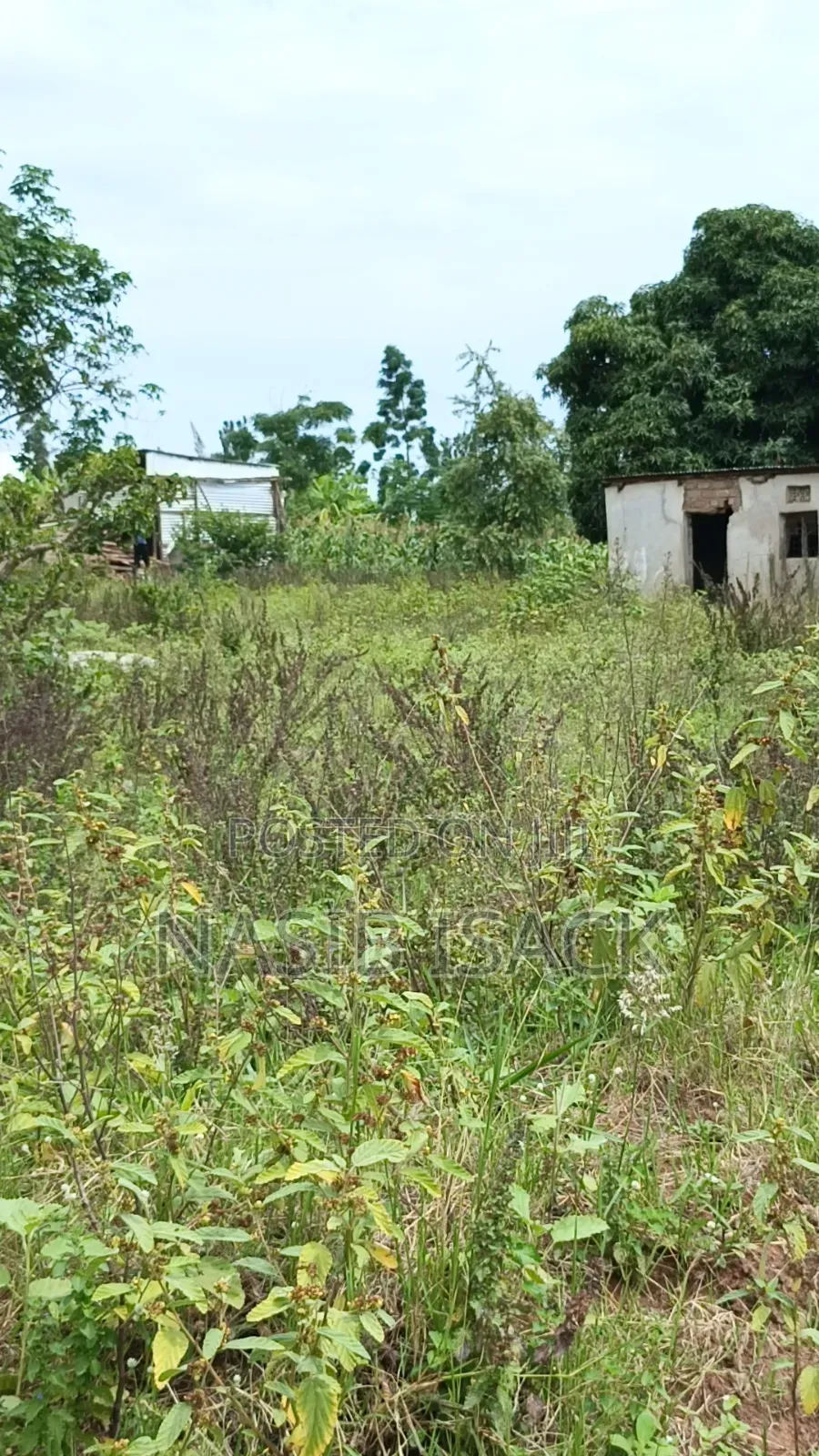 Plot for Sale Mwanza Busweru