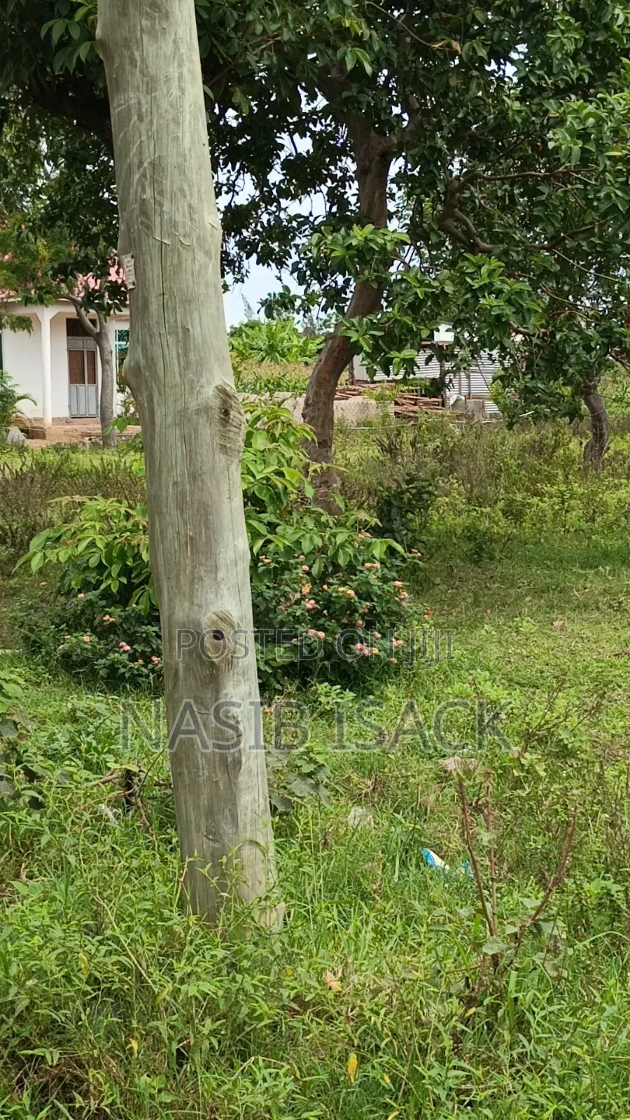 Plot for Sale Mwanza Busweru