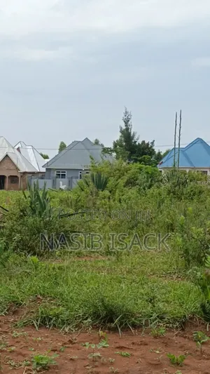 Plot for Sale Mwanza Ilemela Busweru