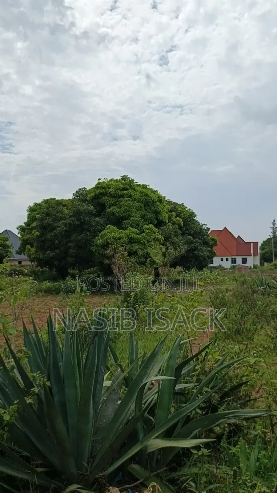 Plot for Sale Mwanza Ilemela Busweru