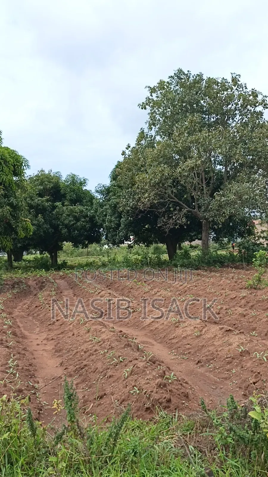 Plot for Sale Mwanza Ilemela Busweru