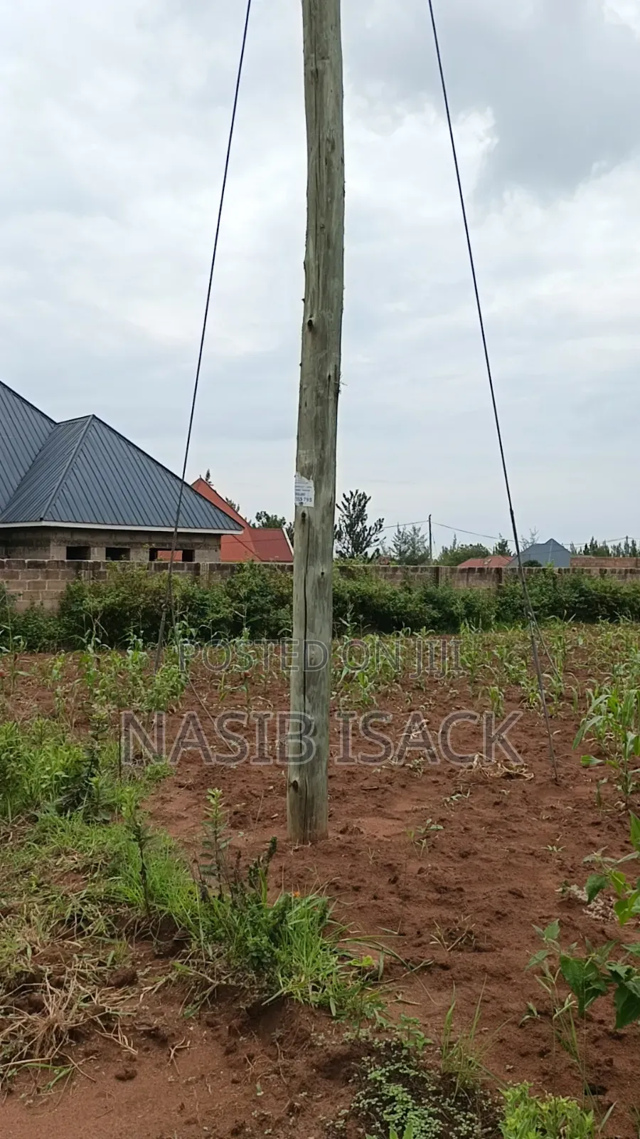 Plot for Sale Mwanza Ilemela Busweru