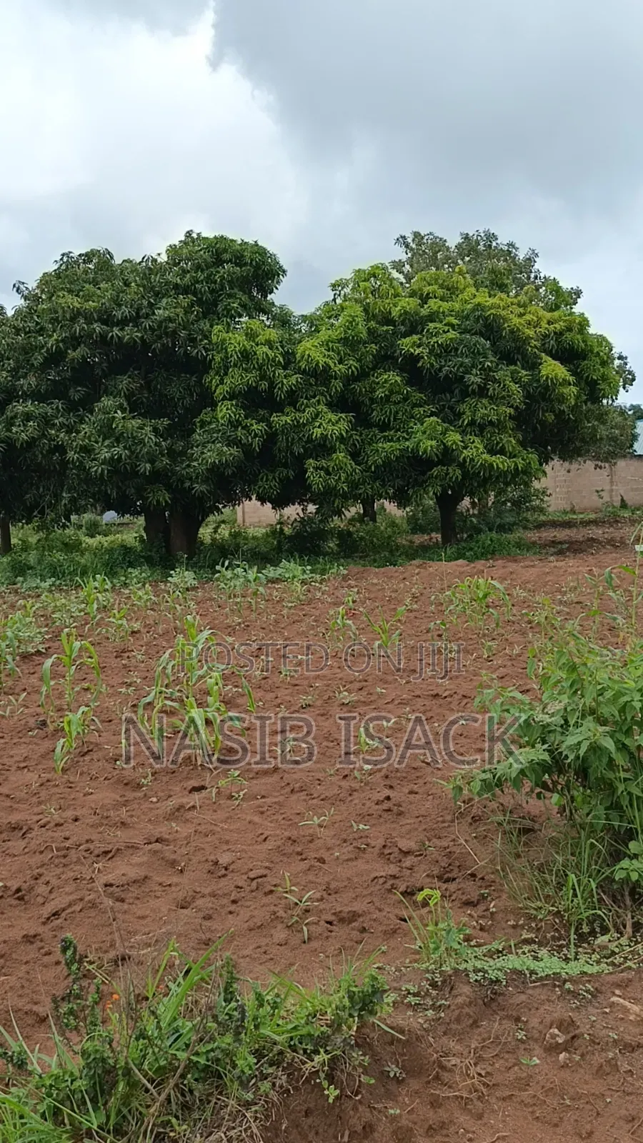 Plot for Sale Mwanza Ilemela Busweru