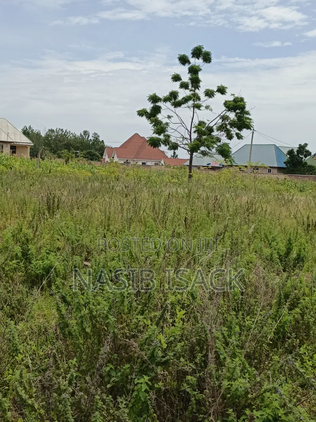 Plot for Sale Mwanza Busweru Wilayan