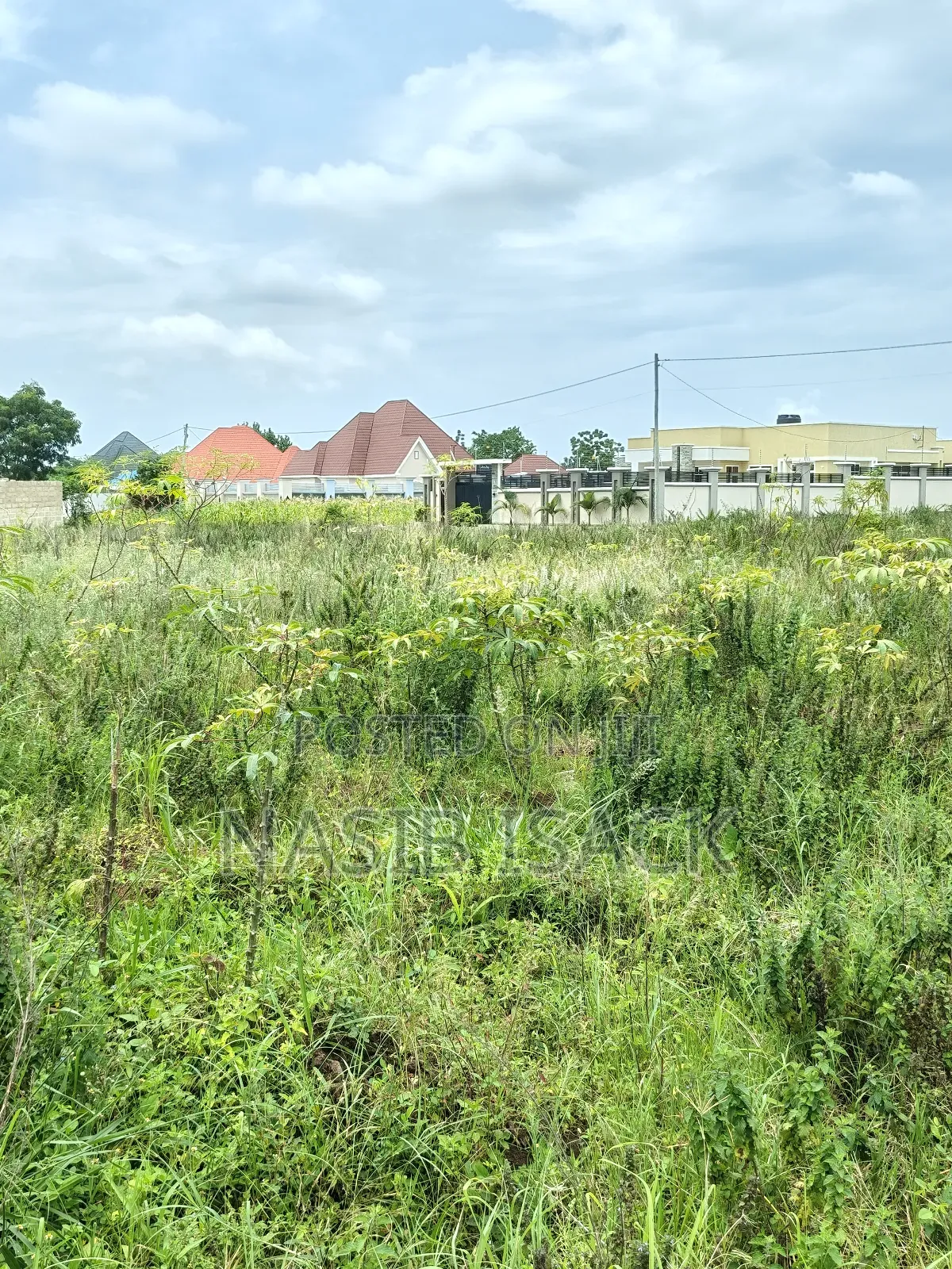 Plot for Sale Mwanza Busweru Wilayan