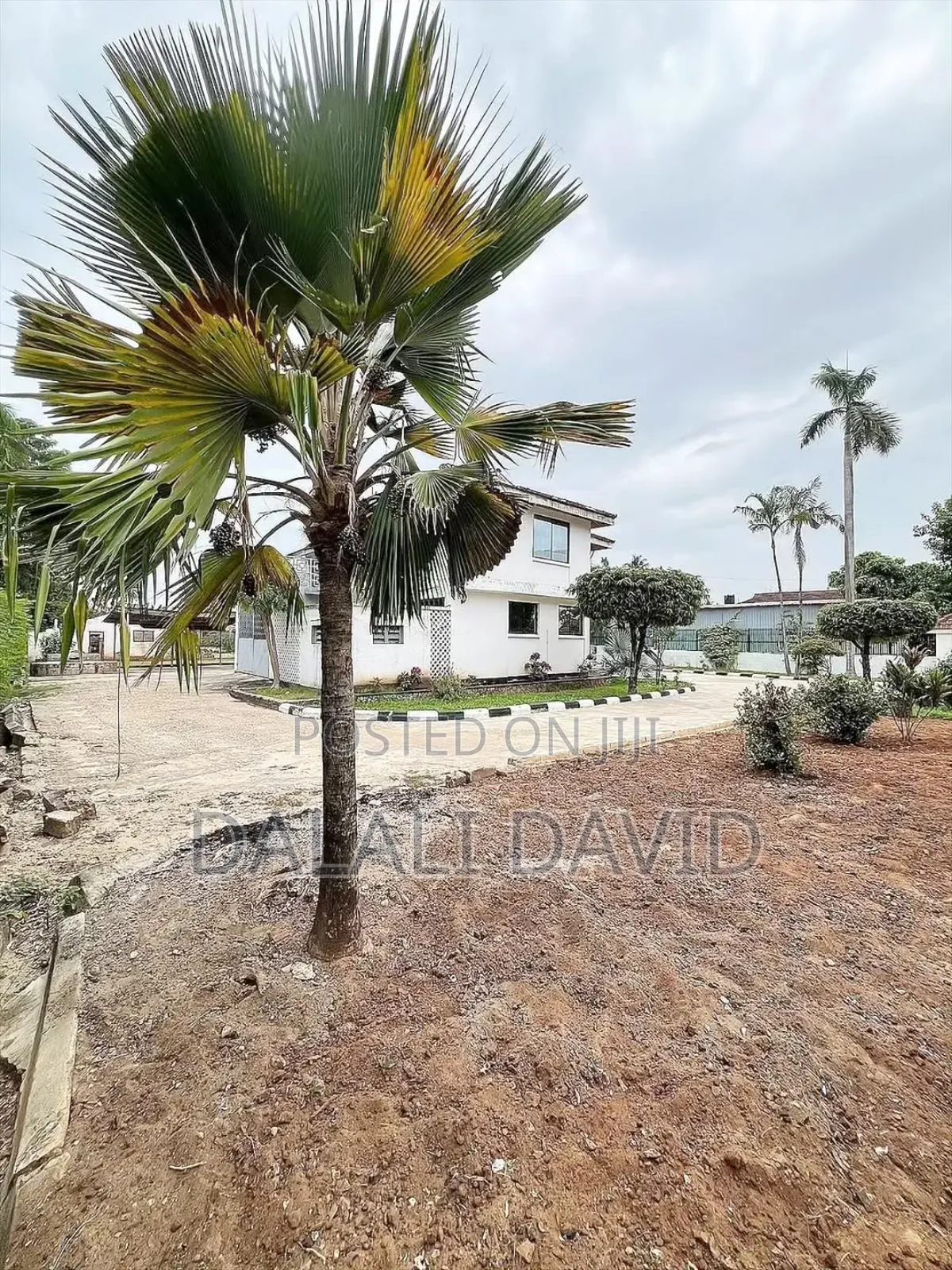 Furnished 5bdrm House in Mikocheni for rent