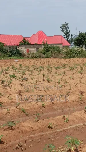 Plot for Sale Mwanza Ilemela Busweru Kahama