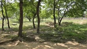 Plots Available for Sales Located in Salasala, Dar Es Salaam Tanzania