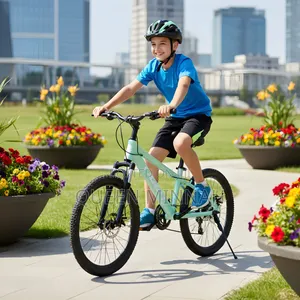 Bicycle Size 22