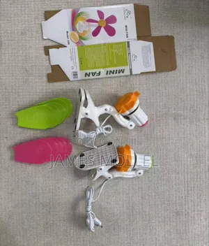 Mini Fan ( Feni Ndogo )