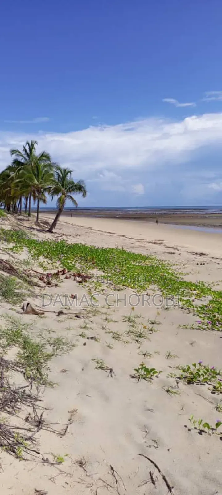 Beach Plot for Sale Kirwa Masoko