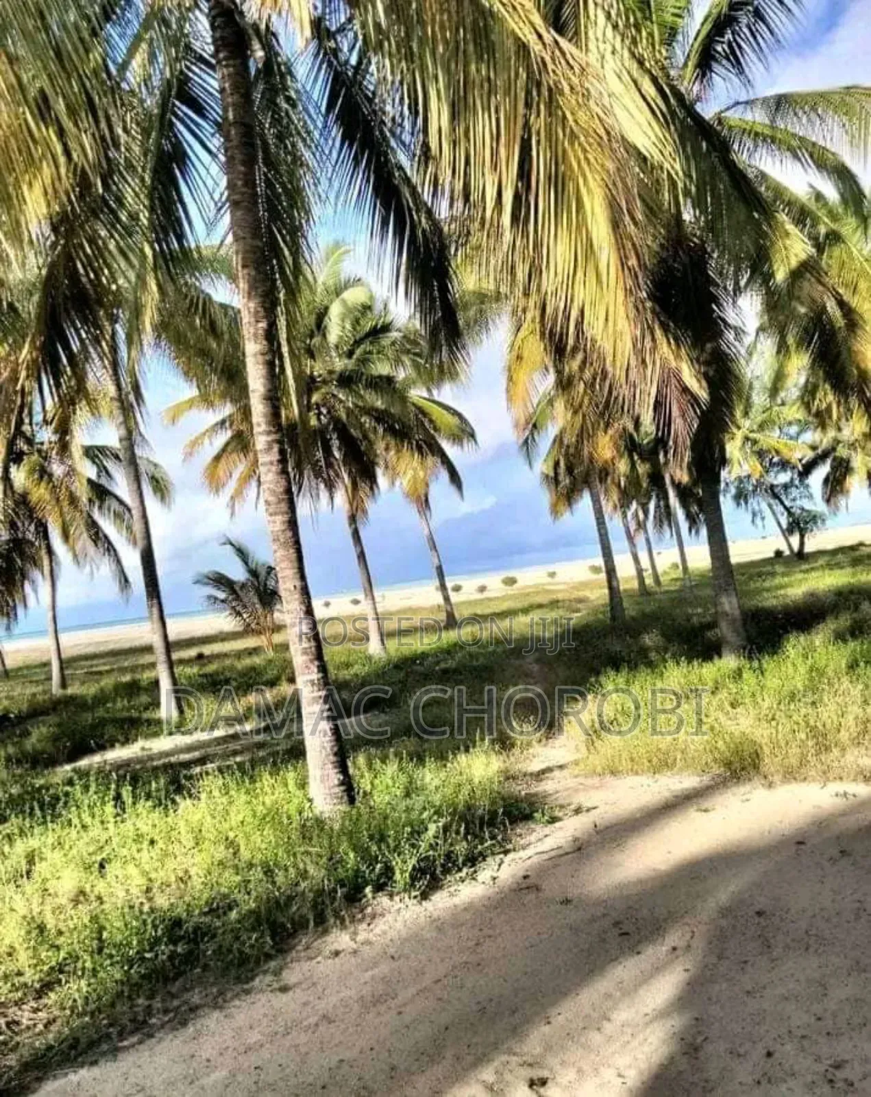 Beach Plot for Sale Kirwa Masoko