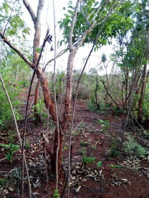 Shamba Acre 5000 Zinazwa Mkata Pwani