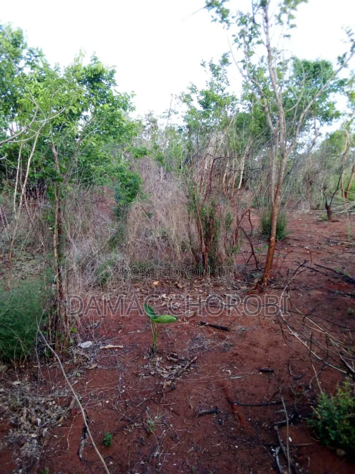 Shamba Acre 5000 Zinazwa Mkata Pwani
