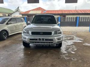 Toyota RAV4 1999 Silver