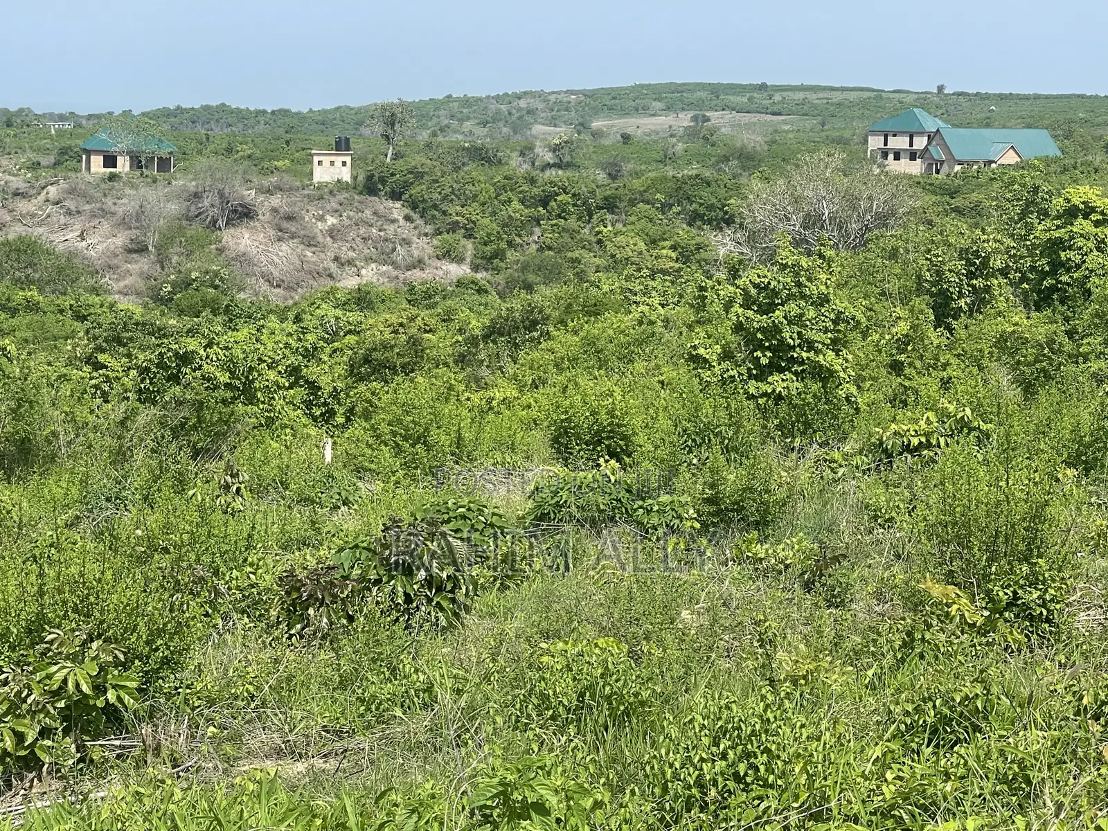 Shamba Linauzwa Kiwangwa