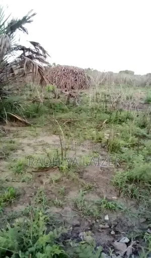 Viwanja Viwili Vinauzwa Kigamboni Tundwi Songani