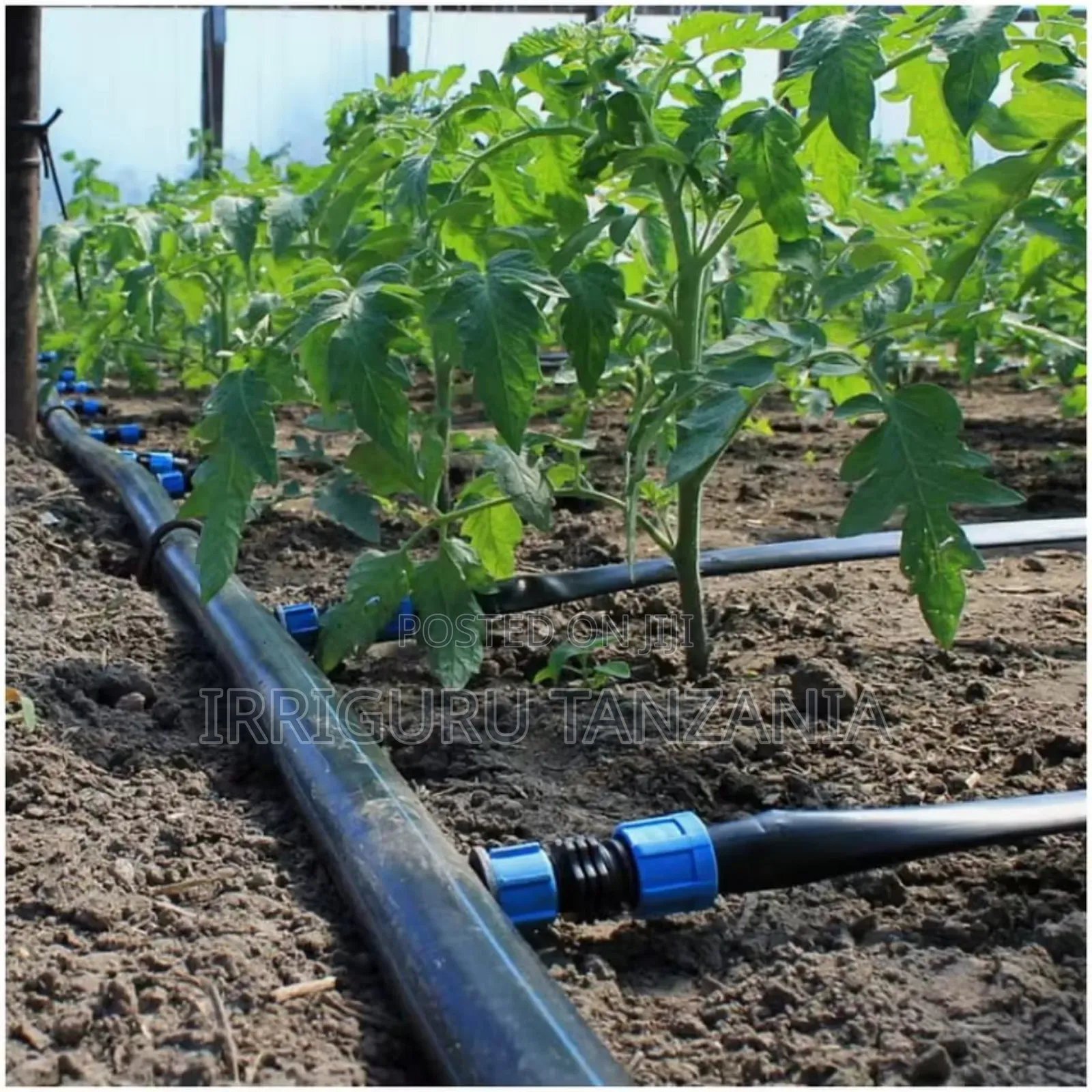 Drip Tubes