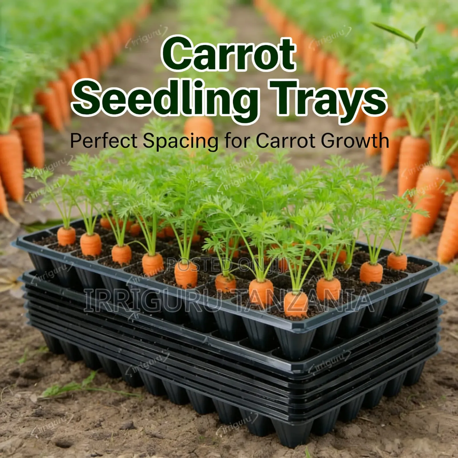 Propagation Trays