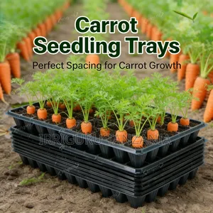 Propagation Trays